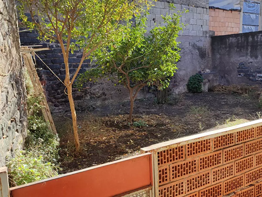 Immagine 23 di Appartamento in vendita  a Santa Maria Di Licodia