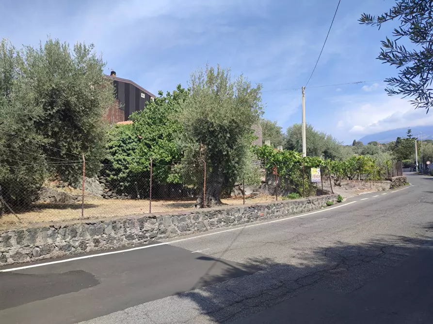 Immagine 2 di Villa in vendita  a Gravina Di Catania