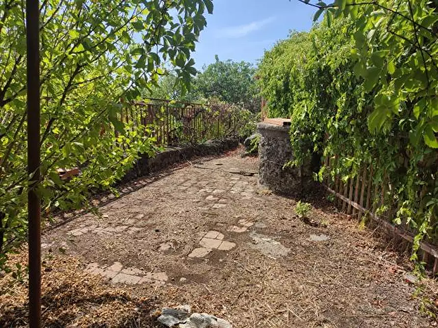 Immagine 29 di Villa in vendita  a Gravina Di Catania