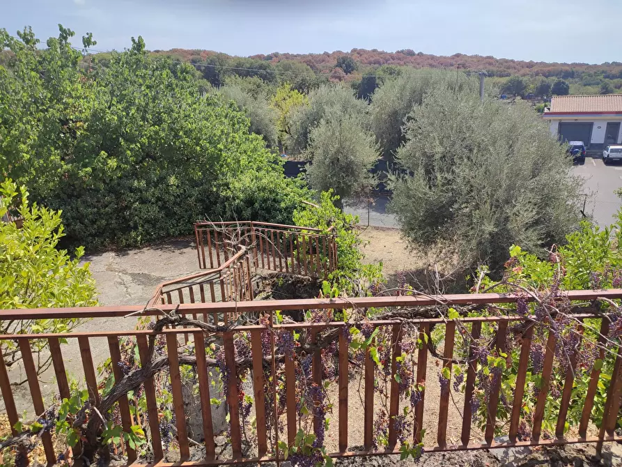 Immagine 32 di Villa in vendita  a Gravina Di Catania
