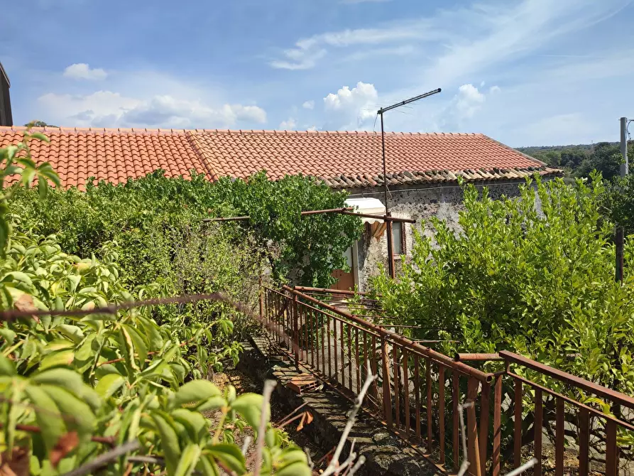 Immagine 9 di Villa in vendita  a Gravina Di Catania