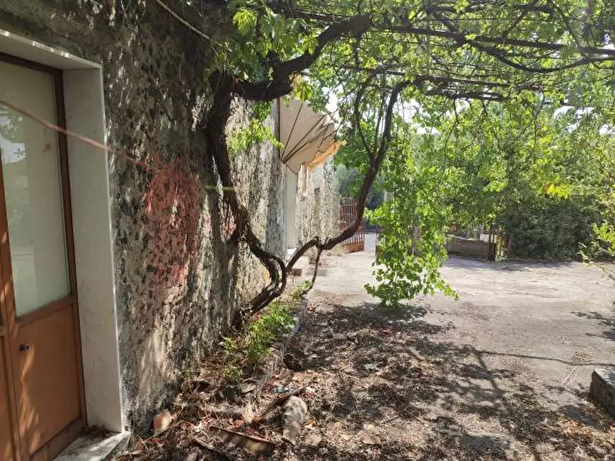 Immagine 6 di Villa in vendita  a Gravina Di Catania