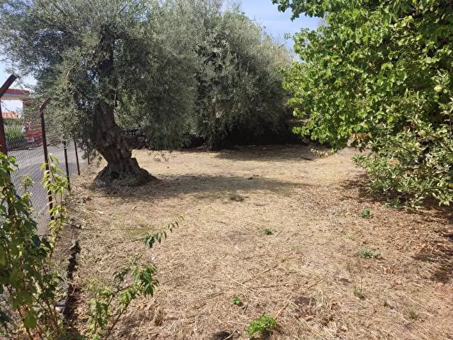 Immagine 28 di Villa in vendita  a Gravina Di Catania