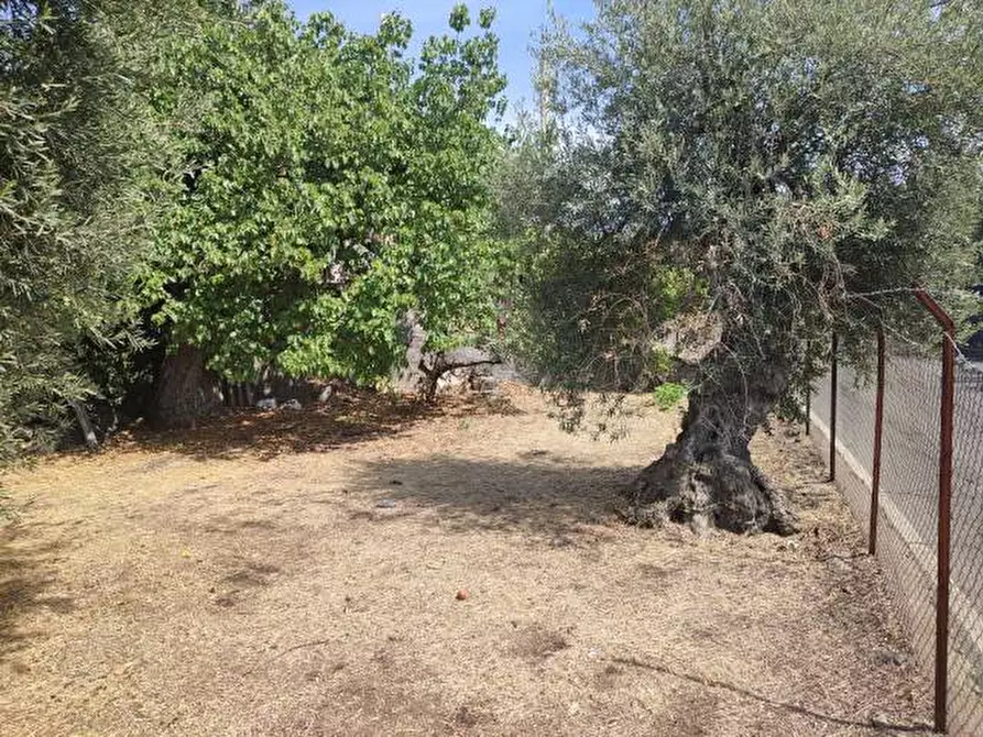 Immagine 31 di Villa in vendita  a Gravina Di Catania