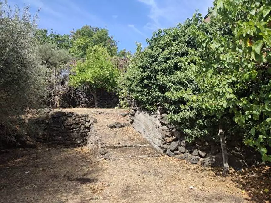 Immagine 33 di Villa in vendita  a Gravina Di Catania