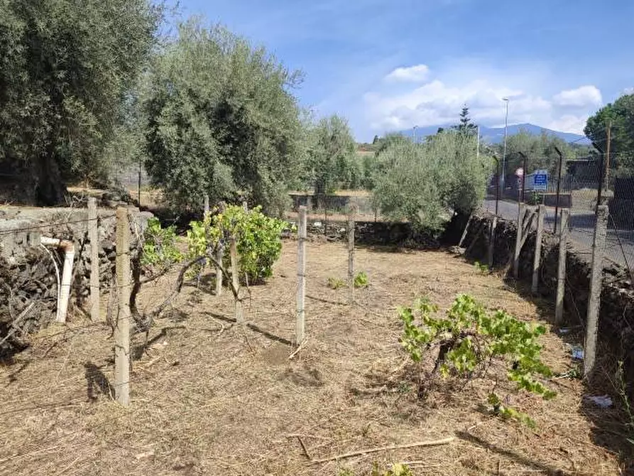 Immagine 34 di Villa in vendita  a Gravina Di Catania