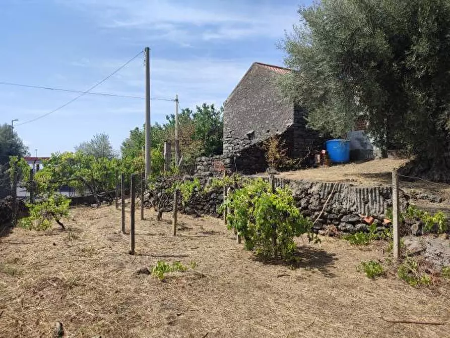 Immagine 11 di Villa in vendita  a Gravina Di Catania