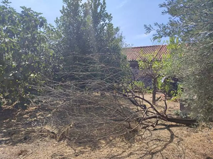 Immagine 35 di Villa in vendita  a Gravina Di Catania