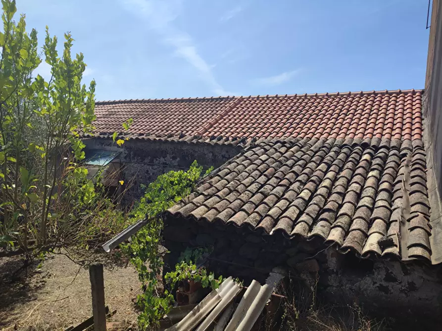 Immagine 13 di Villa in vendita  a Gravina Di Catania