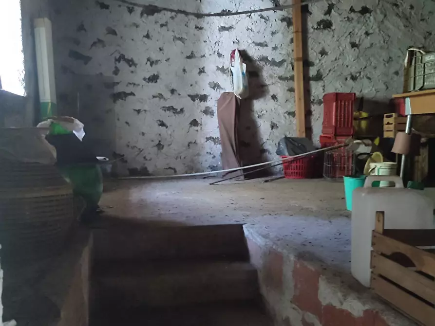 Immagine 20 di Villa in vendita  a Gravina Di Catania