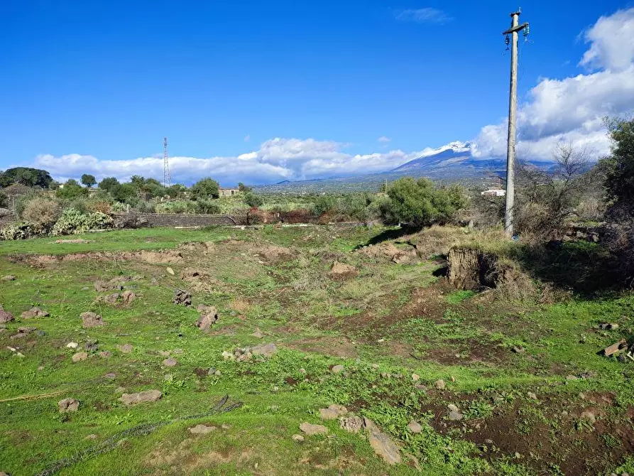 Immagine 1 di Terreno agricolo in vendita  a Paterno'