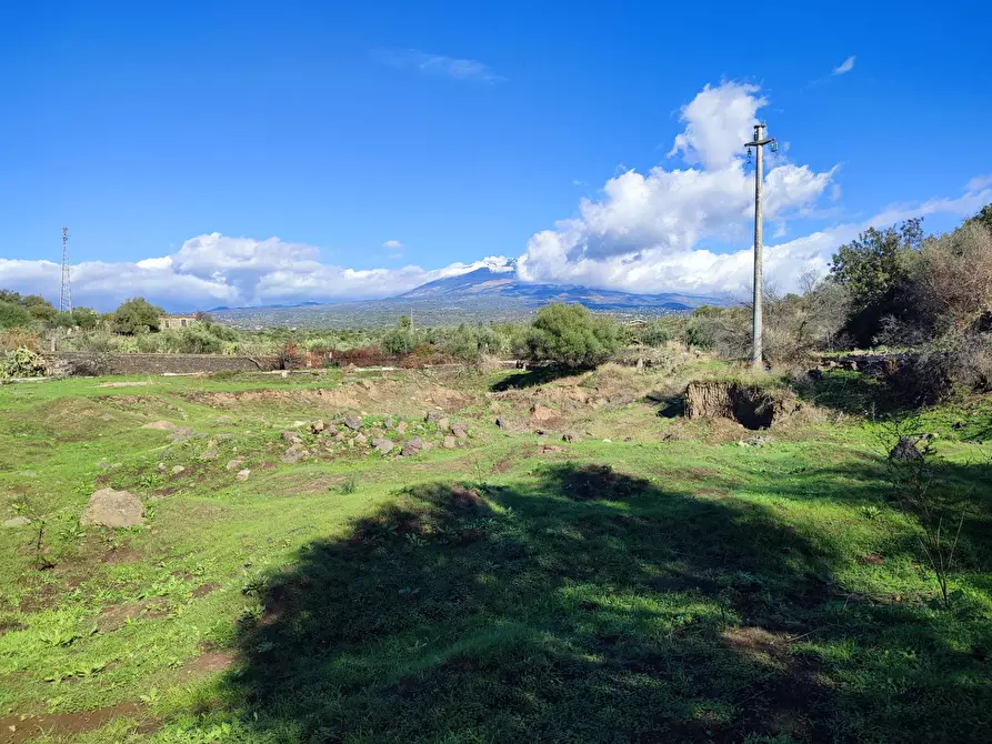 Immagine 3 di Terreno agricolo in vendita  a Paterno'