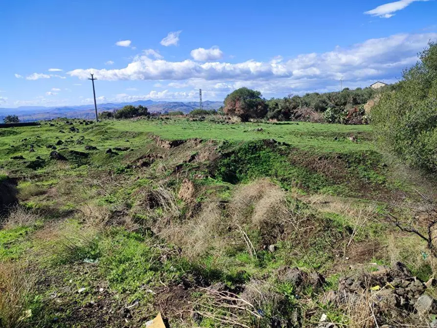 Immagine 8 di Terreno agricolo in vendita  a Paterno'