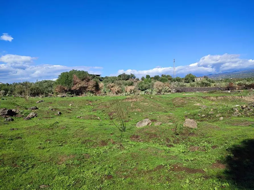 Immagine 4 di Terreno agricolo in vendita  a Paterno'