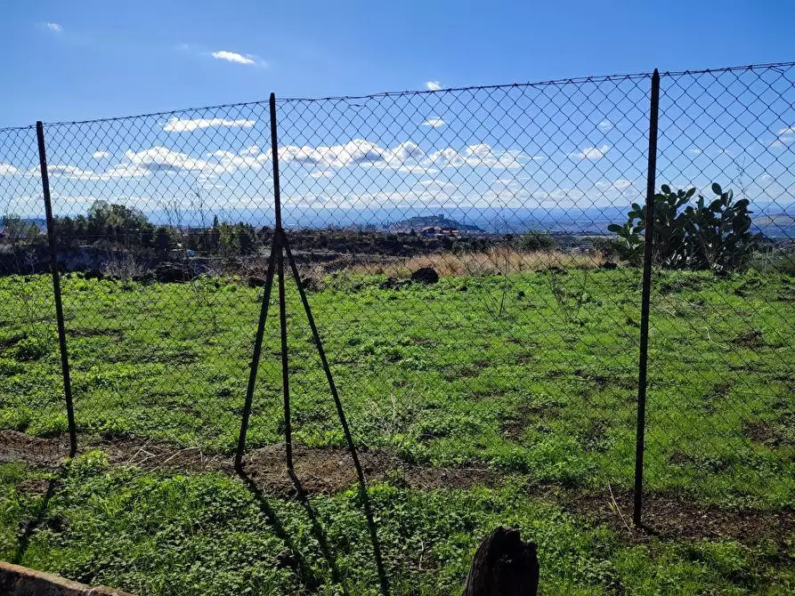 Immagine 7 di Terreno agricolo in vendita  a Paterno'