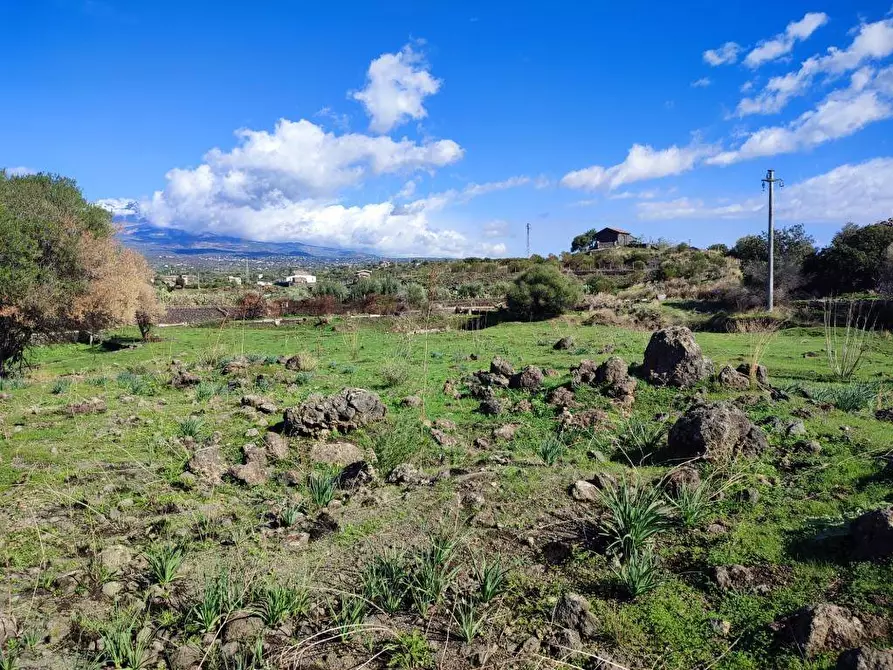 Immagine 11 di Terreno agricolo in vendita  a Paterno'