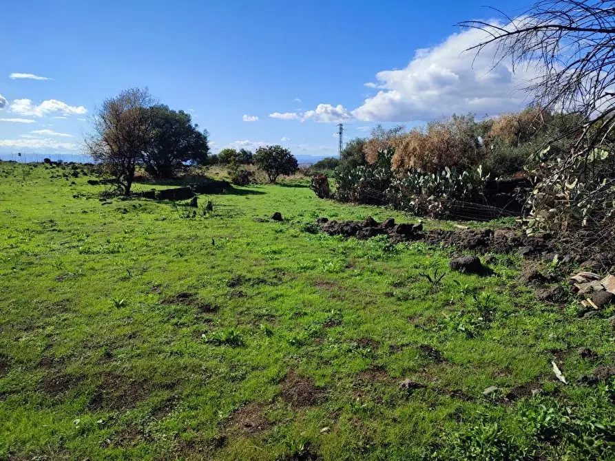 Immagine 10 di Terreno agricolo in vendita  a Paterno'