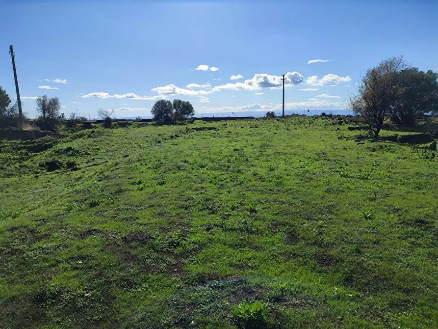 Immagine 5 di Terreno agricolo in vendita  a Paterno'