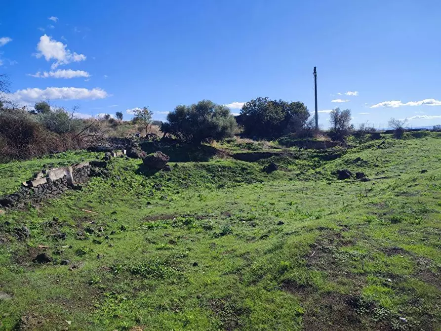 Immagine 9 di Terreno agricolo in vendita  a Paterno'