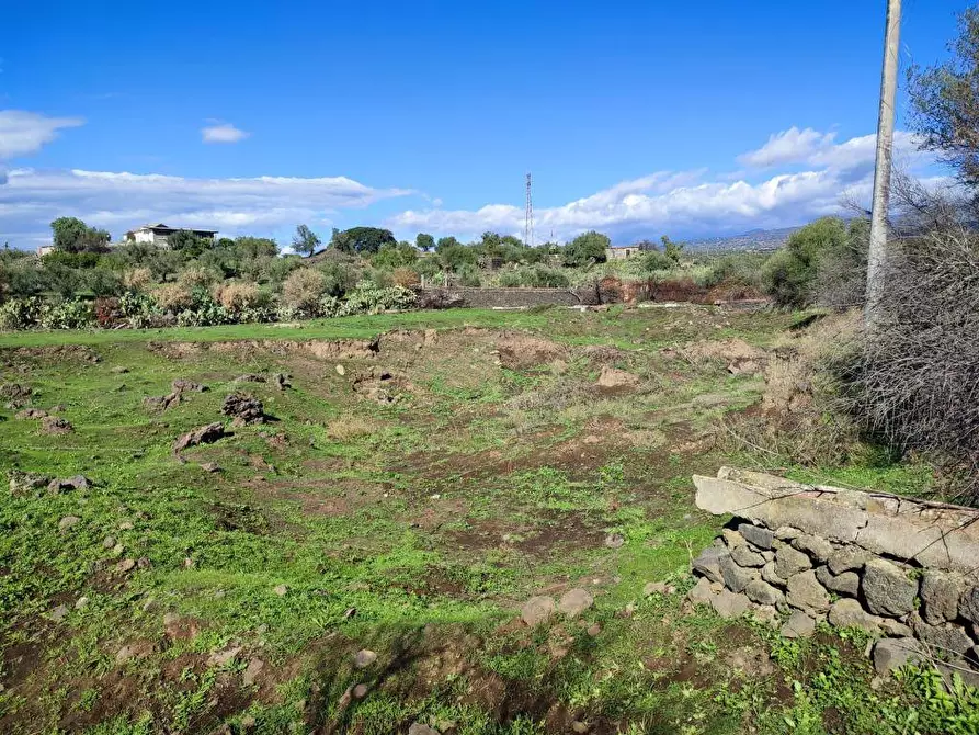 Immagine 12 di Terreno agricolo in vendita  a Paterno'