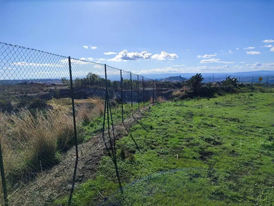 Immagine 6 di Terreno agricolo in vendita  a Paterno'