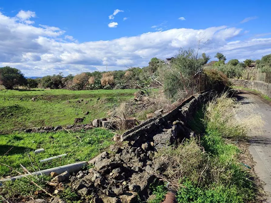 Immagine 16 di Terreno agricolo in vendita  a Paterno'