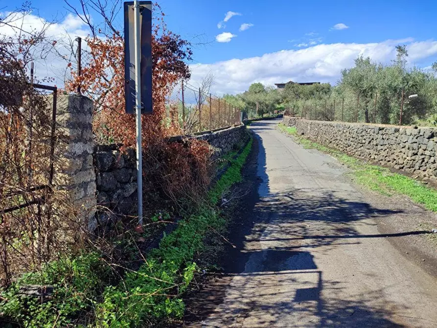 Immagine 18 di Terreno agricolo in vendita  a Paterno'