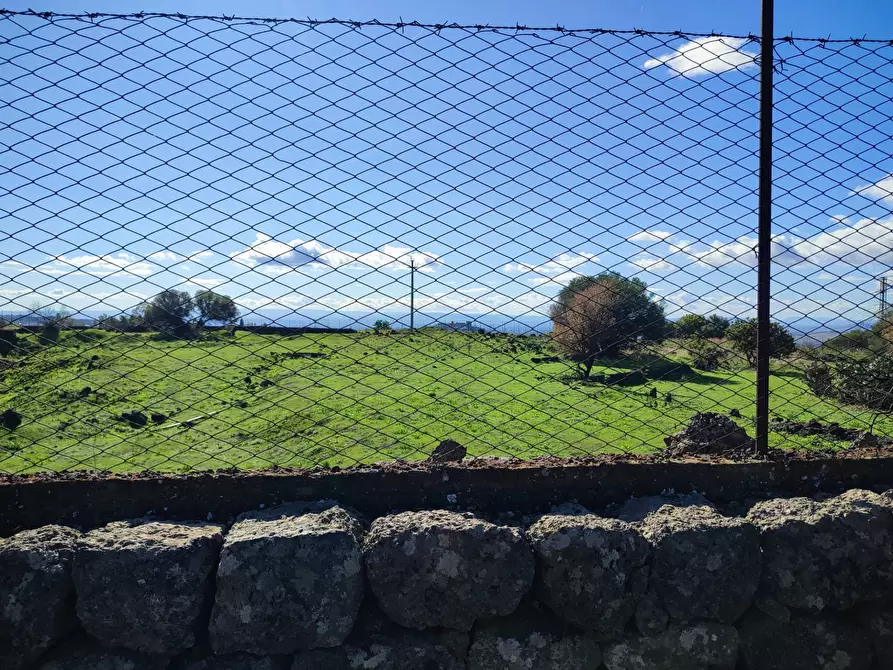 Immagine 14 di Terreno agricolo in vendita  a Paterno'
