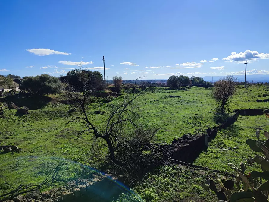 Immagine 15 di Terreno agricolo in vendita  a Paterno'