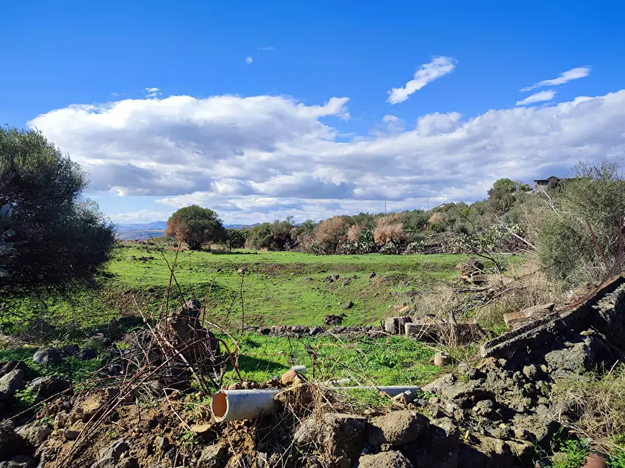 Immagine 13 di Terreno agricolo in vendita  a Paterno'