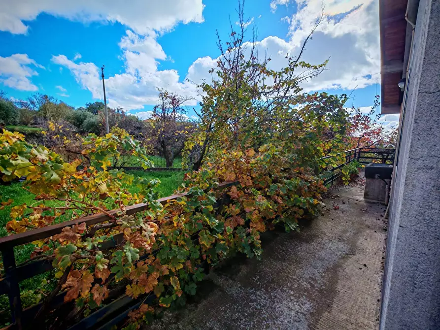Immagine 11 di Villa in vendita  a Santa Maria Di Licodia