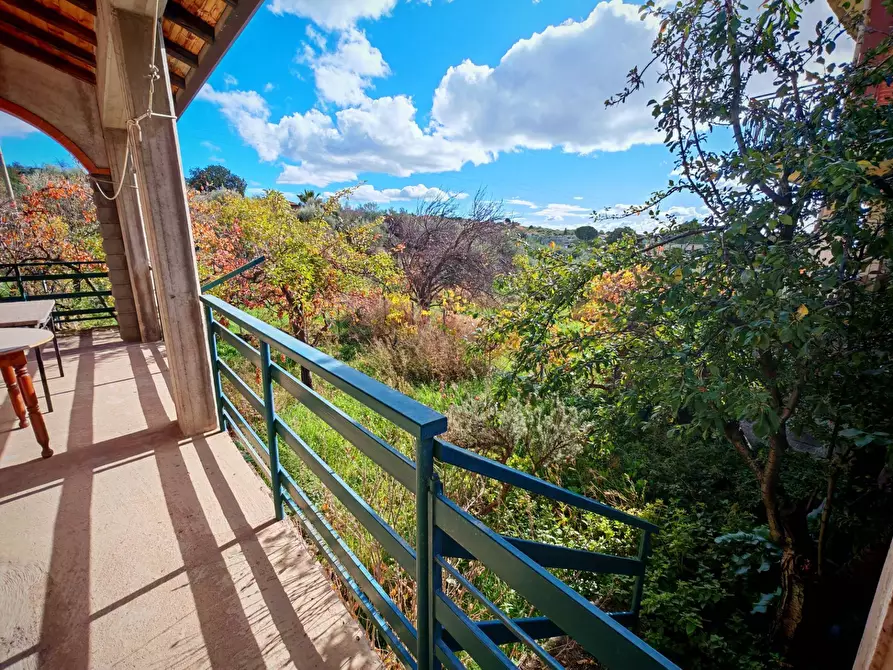 Immagine 4 di Villa in vendita  a Santa Maria Di Licodia