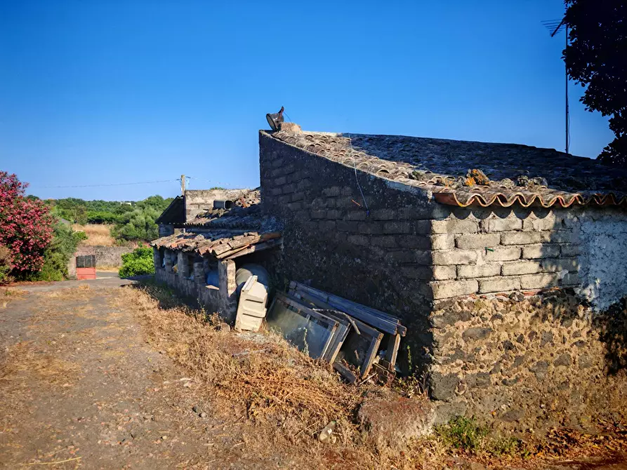 Immagine 7 di Terreno agricolo in vendita  a Paterno'
