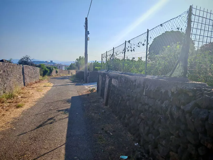 Immagine 12 di Terreno agricolo in vendita  a Paterno'