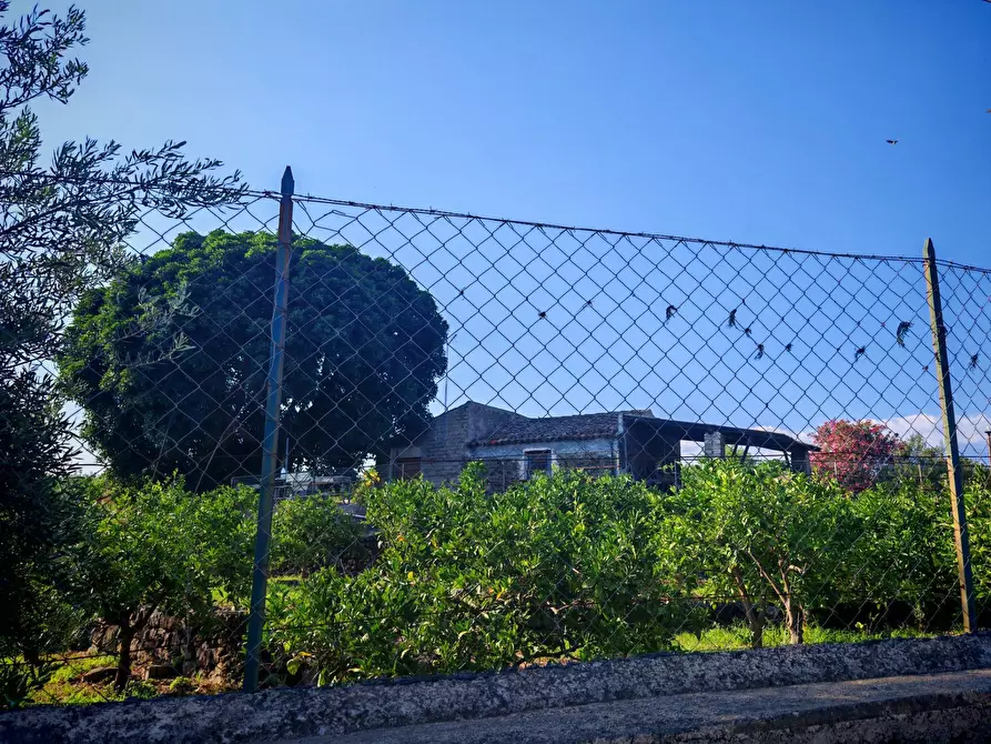 Immagine 3 di Terreno agricolo in vendita  a Paterno'