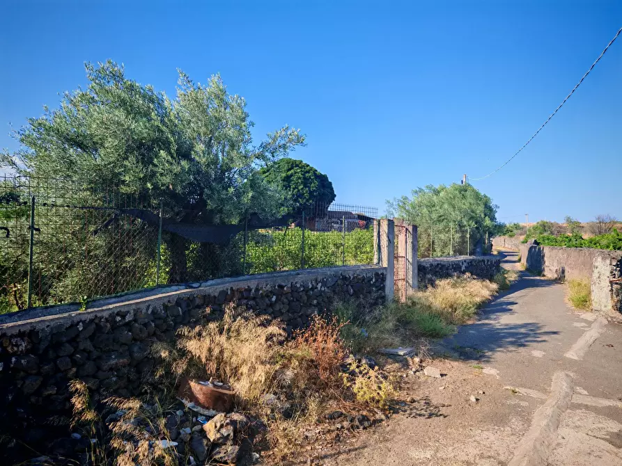 Immagine 13 di Terreno agricolo in vendita  a Paterno'
