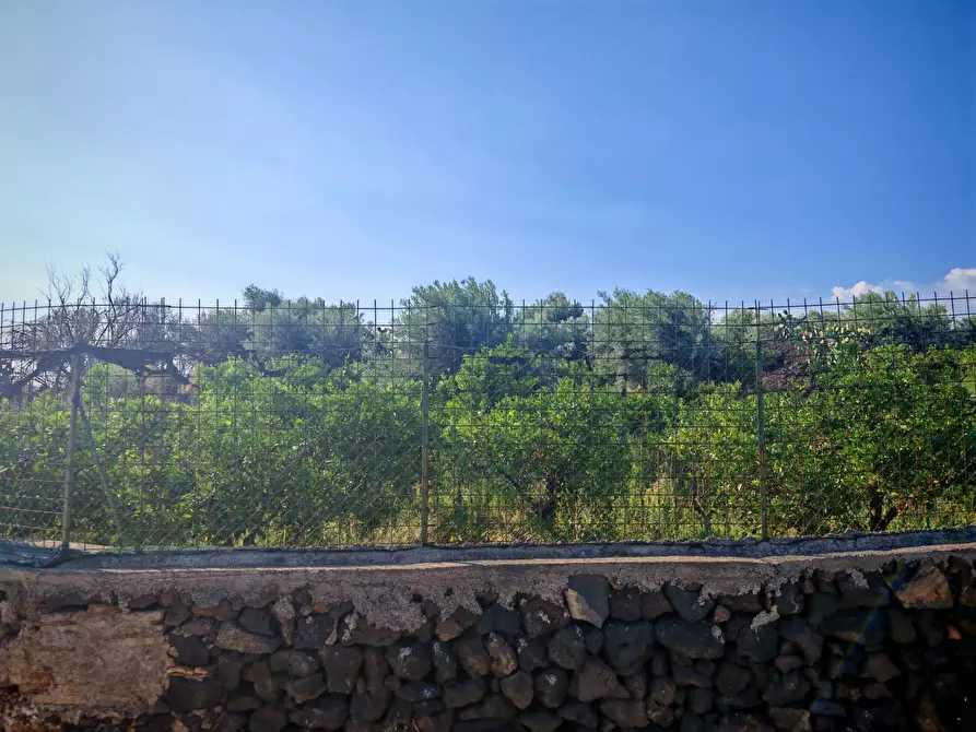 Immagine 11 di Terreno agricolo in vendita  a Paterno'