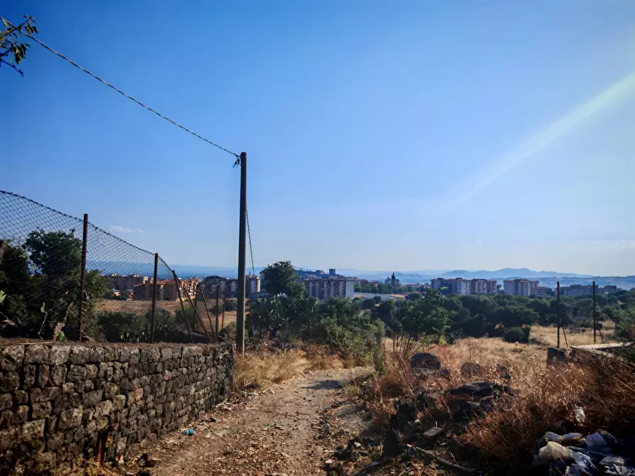Immagine 14 di Terreno agricolo in vendita  a Paterno'