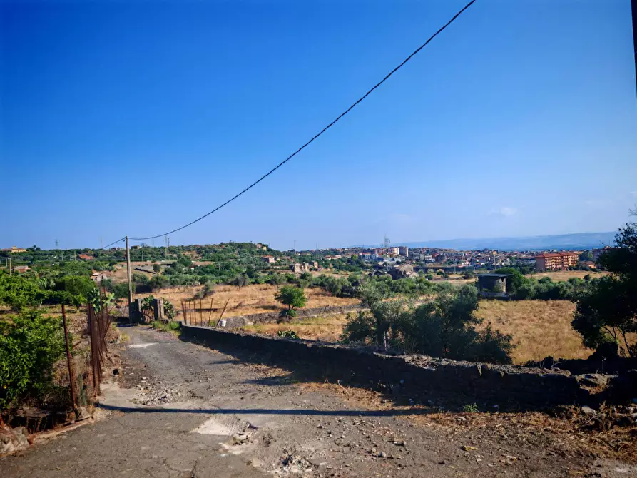 Immagine 15 di Terreno agricolo in vendita  a Paterno'