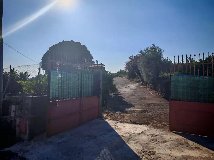 Immagine 2 di Terreno agricolo in vendita  a Paterno'