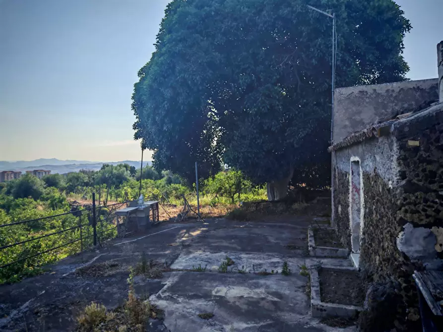 Immagine 8 di Terreno agricolo in vendita  a Paterno'