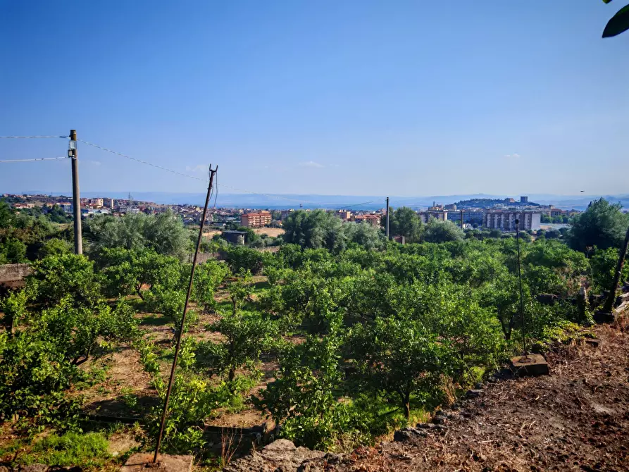 Immagine 17 di Terreno agricolo in vendita  a Paterno'