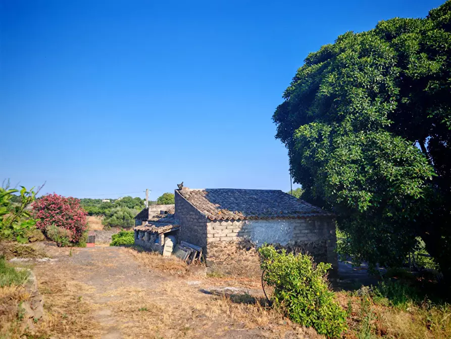 Immagine 6 di Terreno agricolo in vendita  a Paterno'