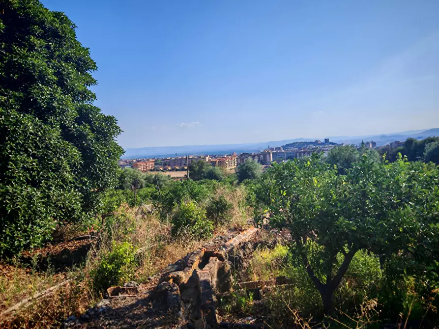 Immagine 18 di Terreno agricolo in vendita  a Paterno'