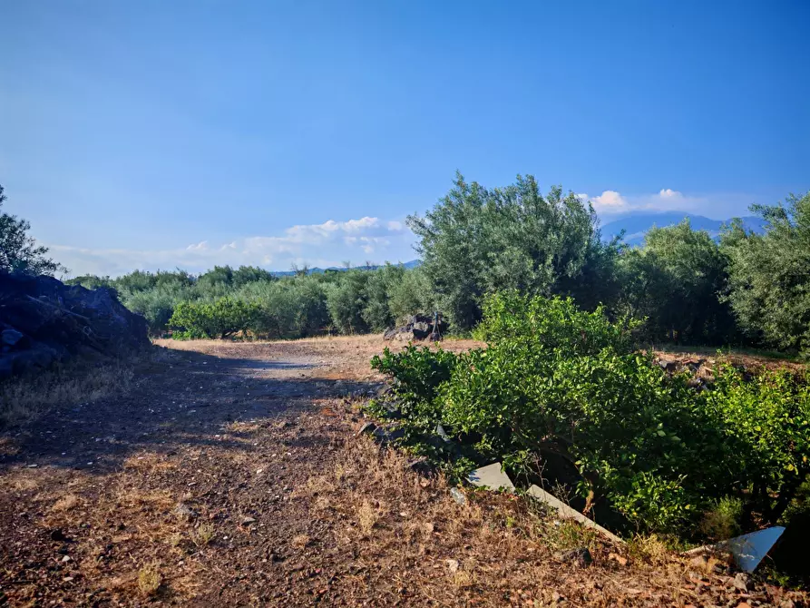 Immagine 23 di Terreno agricolo in vendita  a Paterno'