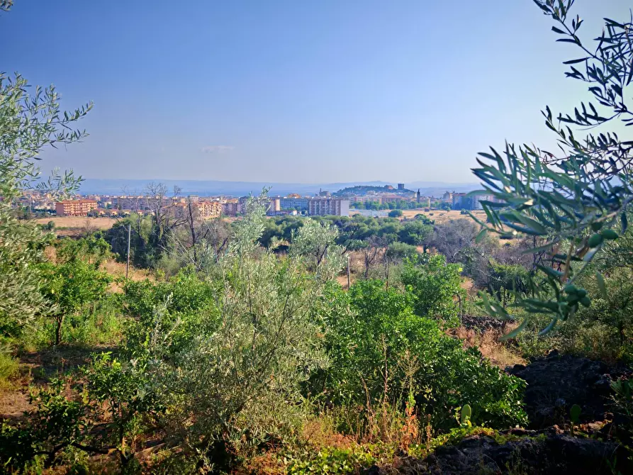 Immagine 19 di Terreno agricolo in vendita  a Paterno'