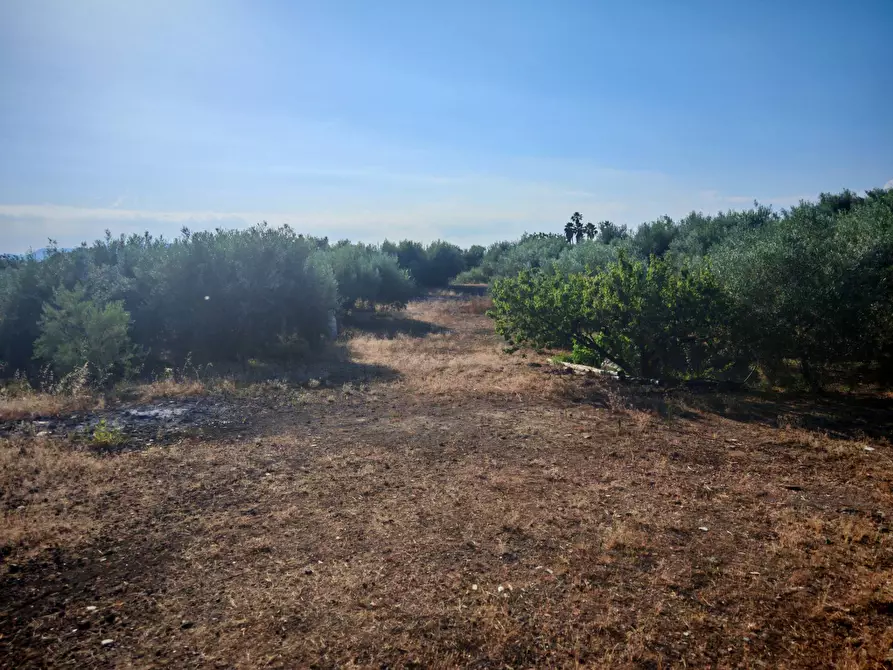 Immagine 28 di Terreno agricolo in vendita  a Paterno'