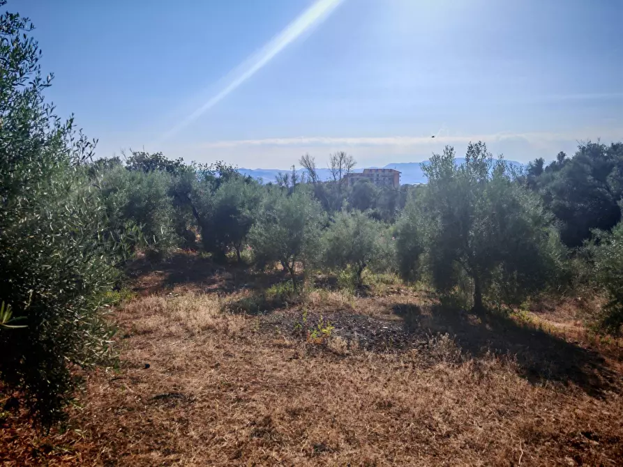Immagine 20 di Terreno agricolo in vendita  a Paterno'