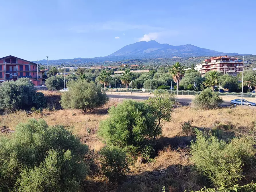 Immagine 8 di Appartamento in vendita  a Santa Maria Di Licodia