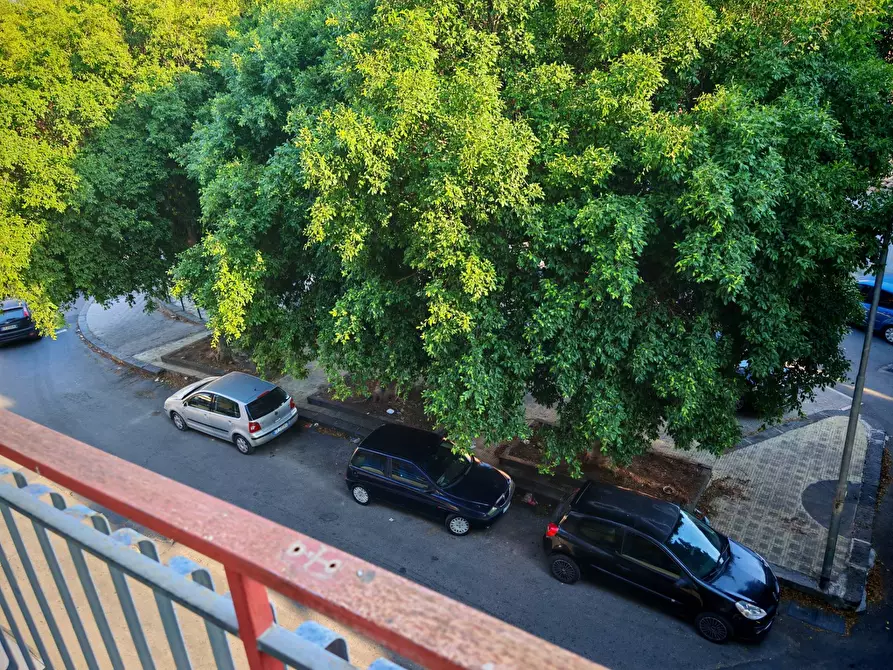 Immagine 22 di Appartamento in vendita  a Paterno'